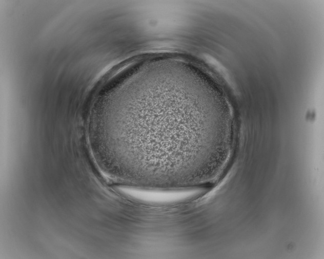 X0000089941449200707201852