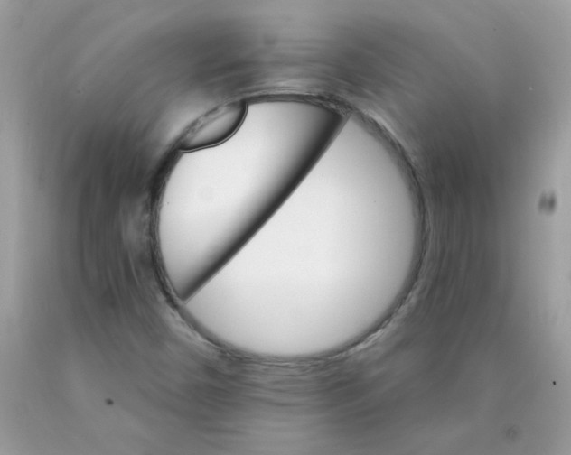 X0000089941450200707201852