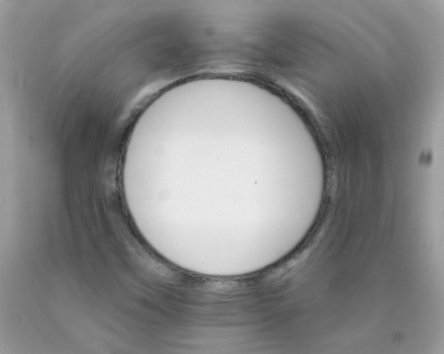 X0000089941451200707201852