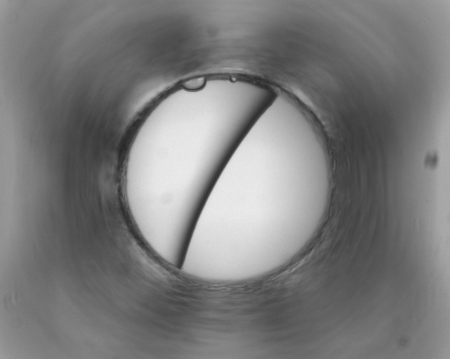 X0000089941452200707201852