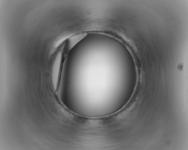 X0000089941453200707201852