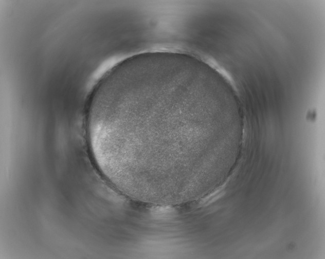 X0000089941454200707201852