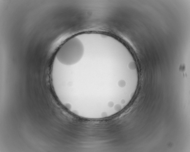 X0000089941455200707201852