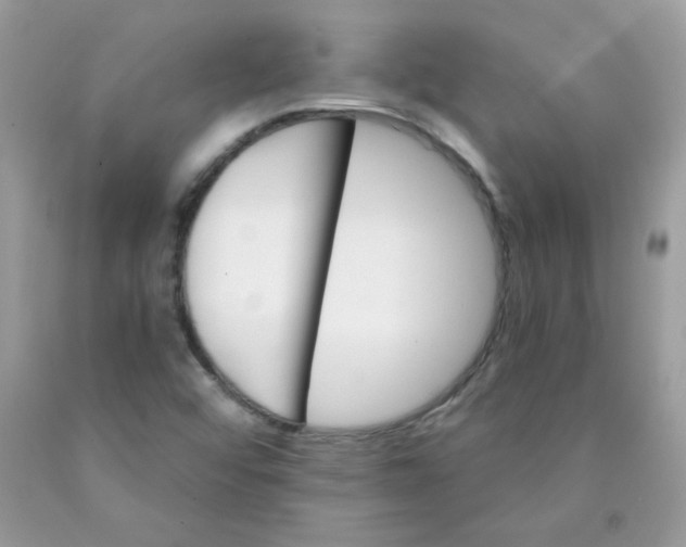 X0000089941456200707201852