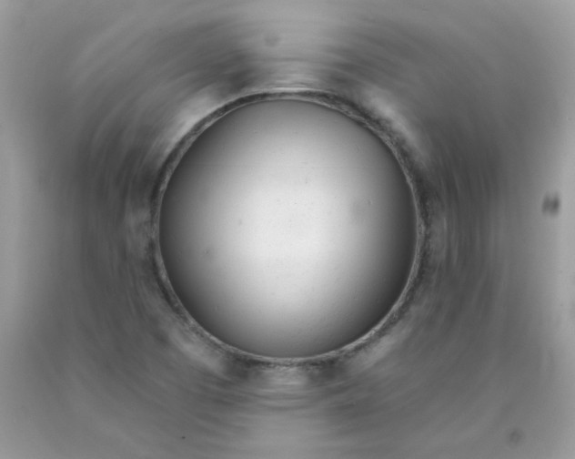 X0000089941457200707201852