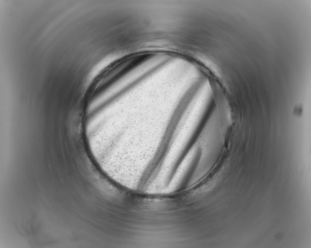 X0000089941458200707201852