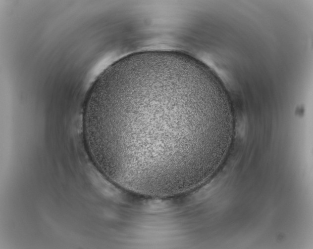 X0000089941459200707201852