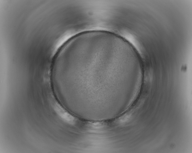 X0000089941460200707201852