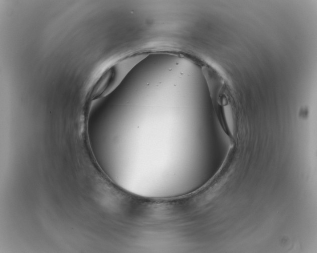 X0000089941461200707201852