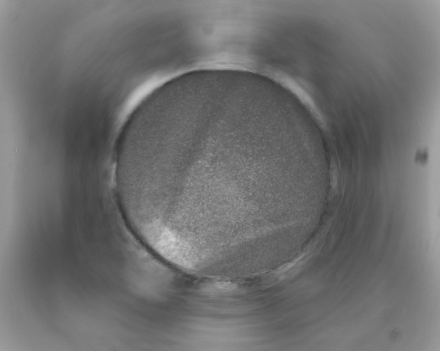 X0000089941462200707201852