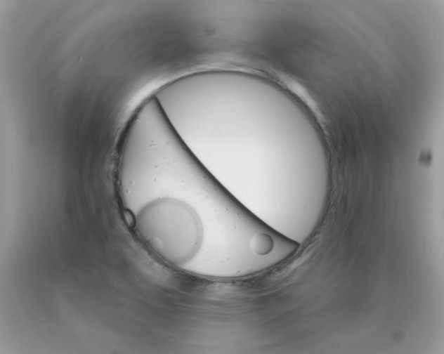 X0000089941463200707201852