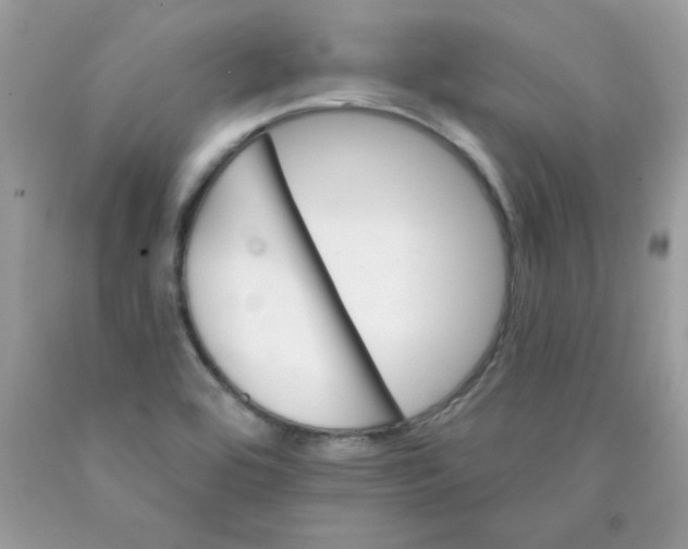 X0000089941464200707201852