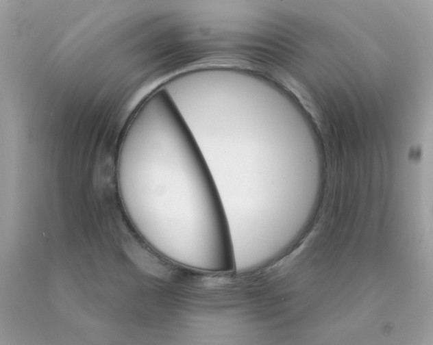 X0000089941465200707201852