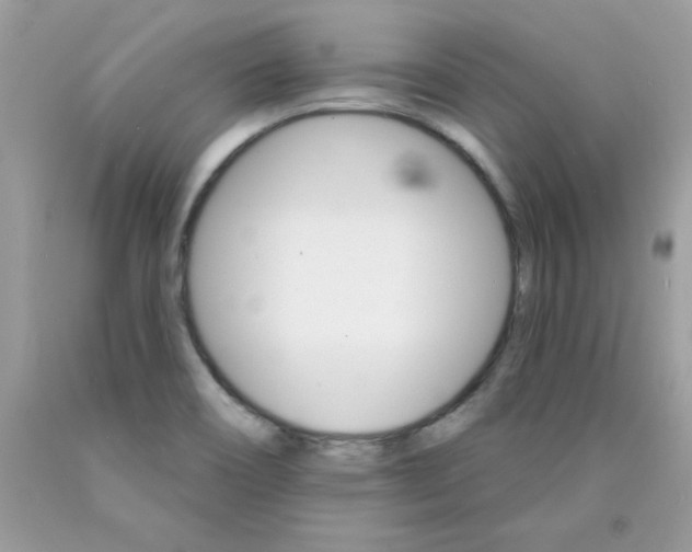 X0000089941466200707201852