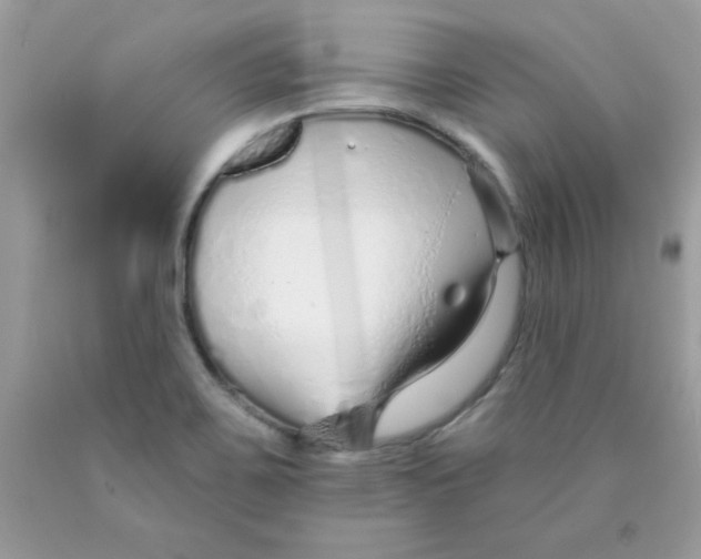 X0000089941467200707201852