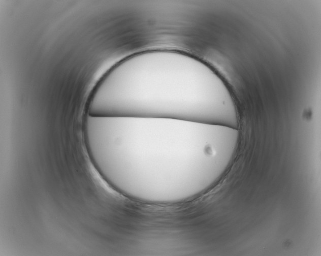 X0000089941468200707201852