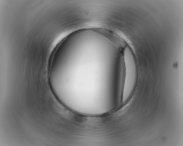 X0000089941469200707201852