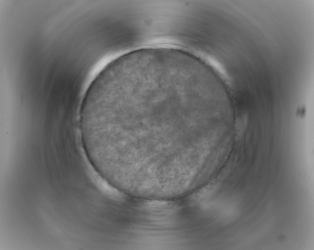 X0000089941470200707201852