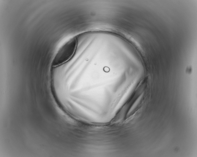 X0000089941471200707201852