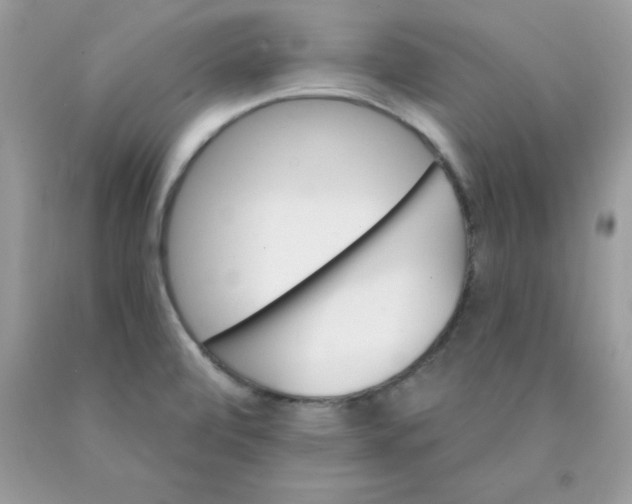 X0000089941472200707201852