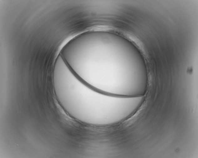 X0000089941473200707201852