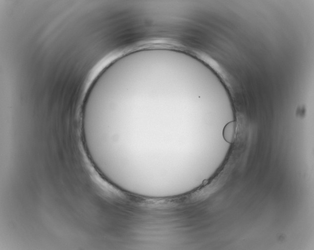 X0000089941474200707201852