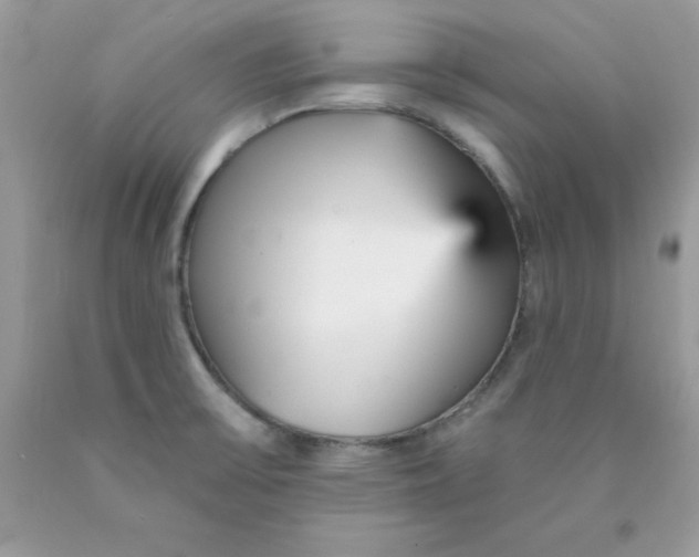 X0000089941475200707201852