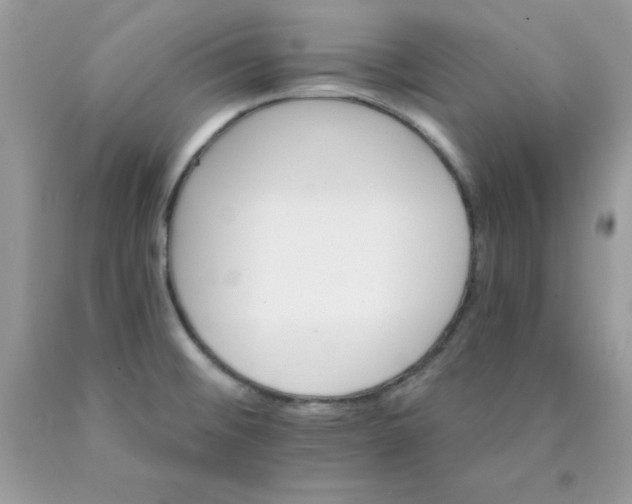 X0000089941476200707201852