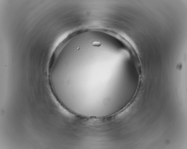 X0000089941477200707201852