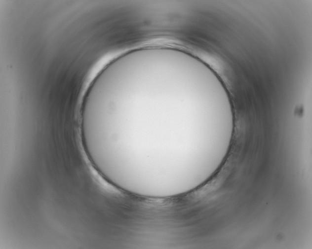 X0000089941478200707201852