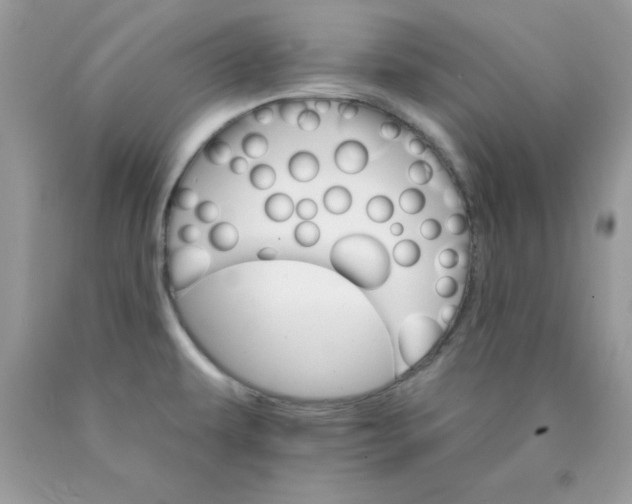 X0000089941479200707201852