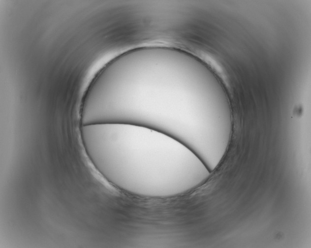 X0000089941480200707201852