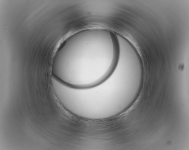 X0000089941481200707201852