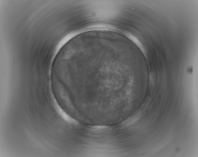 X0000089941482200707201852