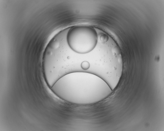 X0000089941483200707201852