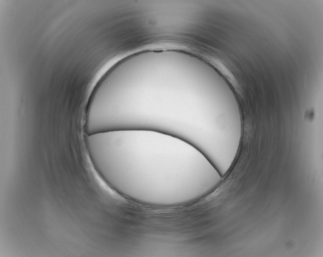 X0000089941484200707201852