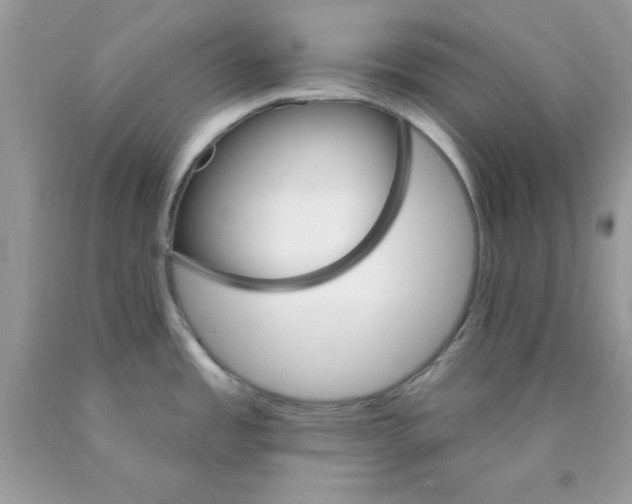 X0000089941485200707201852