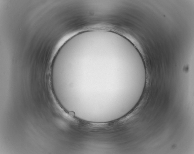 X0000089941486200707201852