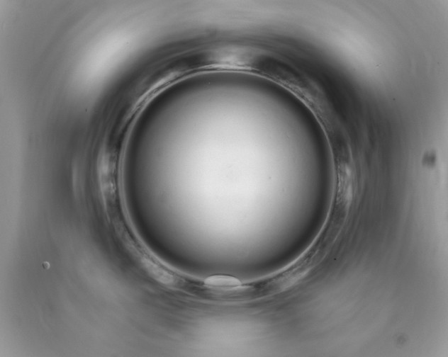 X0000089941487200707201852