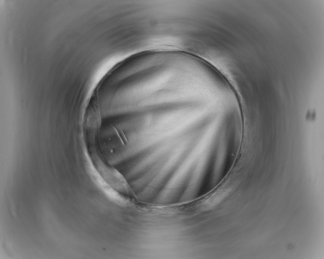 X0000089941488200707201852