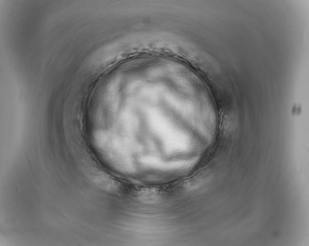 X0000089941489200707201851