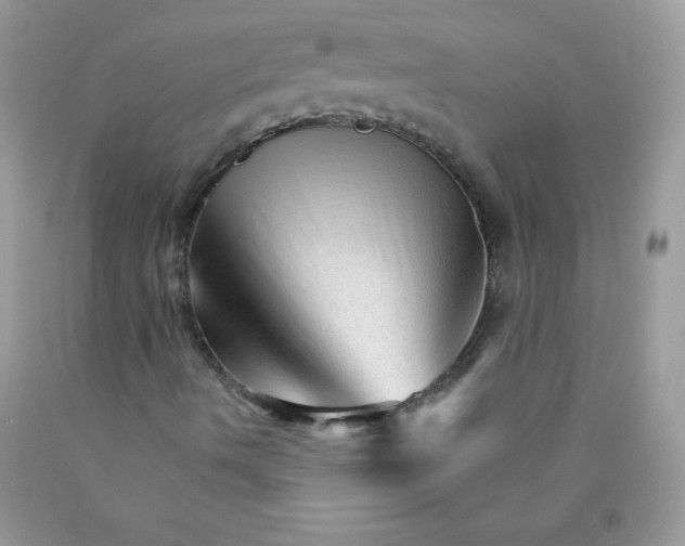 X0000089941490200707201851