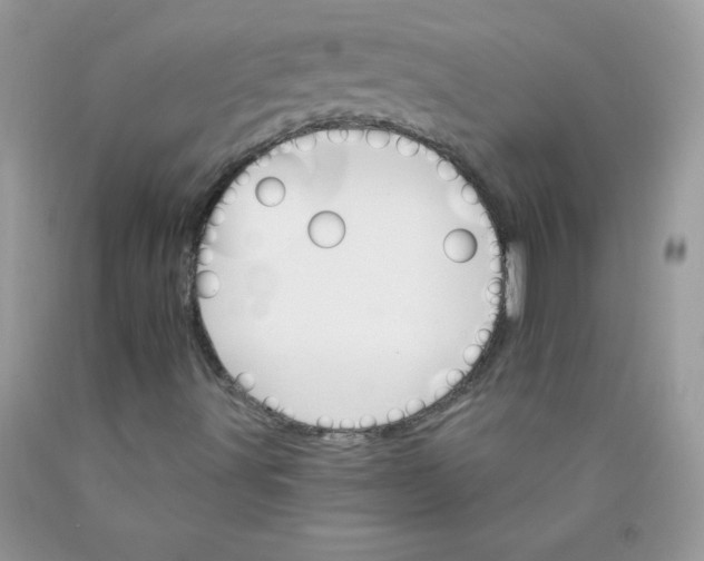 X0000089941491200707201851