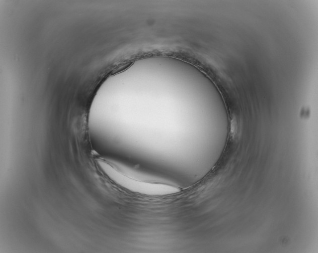 X0000089941492200707201851