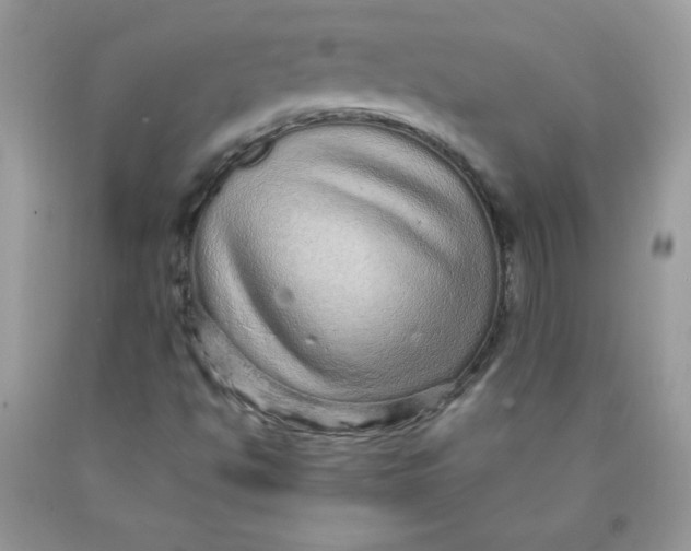 X0000089941494200707201851