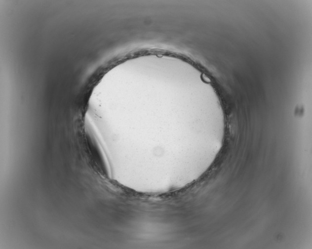 X0000089941495200707201851