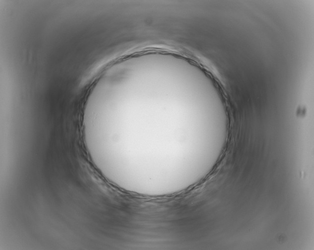 X0000089941496200707201851