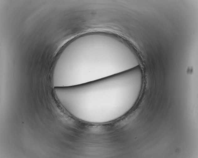 X0000089941497200707201851