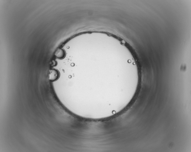 X0000089941498200707201851