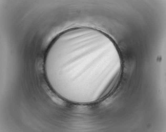 X0000089941499200707201851